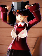 ねんがんの きょにゅうを てにいれたぞ