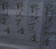 野沢菜漬 野沢菜漬 野沢菜漬 野沢菜漬