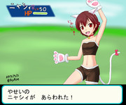 やせいの ニャシィ が あらわれた！