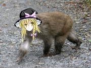 猿ゥ！と化したUDK