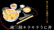 【南三陸】キラキラうに丼【復興応援モデル】