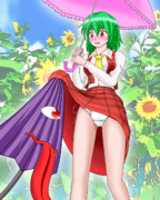 [東方] 多々良小傘が無謀にもひまわり畑で人を驚かそうとした結果