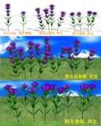 リンドウ ニコニコ静画 イラスト