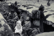 ウェルダンレイプ！ドイツ帝国兵と化したMUR猫