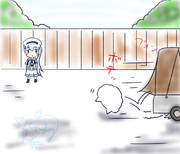 ティッピーが家に来た日