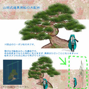 【配布終了・使用禁止】遠景用松の木配布(ローポリ１６頂点)