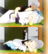 銀ちゃんとチビ鶴丸はお昼寝中