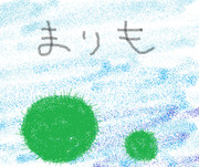 完全に絵が下手な人のただのまりも