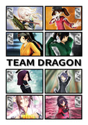チーム・ドラゴン