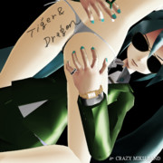 タイガー&ドラゴン【MMDジャケットアート】