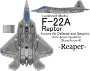 [20周年記念]F-22A Raptor AAD&S Bone Arrow 4 =Reaper=