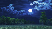 【MMDステージ配布】夜の森 DD6【スカイドーム】