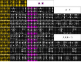 E233系8000番台 (ほぼ)全表示