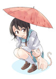 小野寺さんと雨宿り猫と