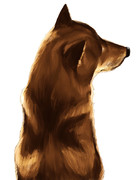 うしろむき柴犬