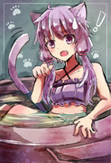 ねこ鍋