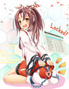 瑞鳳をロック(保護)しました