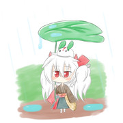 雨しとしと