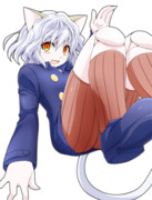 ピトーかわいい