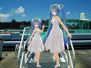 話が前後してあれなんですけど、これから、那覇→慶良間の高速船に乗船します。