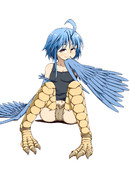 パピの毛づくろい