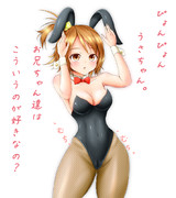 バニーせっちゃん