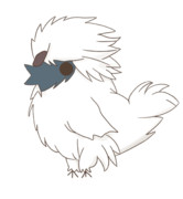 クッキー☆の中盤あたりに出てくる烏骨鶏