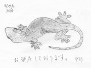 ひとことこごと 040