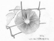 ひとことこごと 048