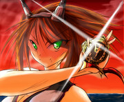 甲種勲章と書いて、意地とかプライドとか