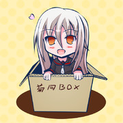 ダンボール菊月