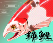 錦鮭(ニシキゴイ)