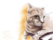 【60ｍinutes drawing】10月19日