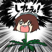 ダンシレイオン