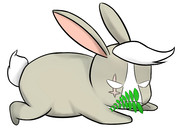 私のハーブゥ～・・・