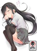 朝潮が寝ています