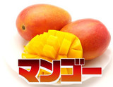 マンゴー