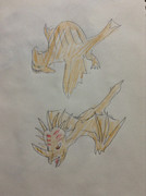 ディメトロガレオス＆スティラコブロス