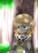 木漏れ日まぶし森の中