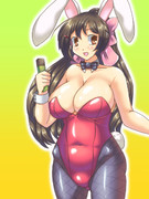 バニーガール 間宮