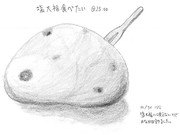 ひとことこごと 105