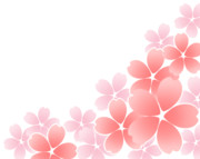 【素材】桜飾り