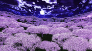 夜桜 ニコニコ静画 イラスト