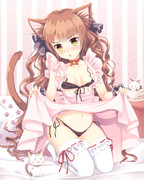 にゃん娘にエプロン