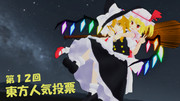 第12回東方人気投票支援