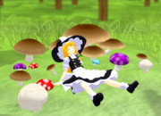 森林きのこ浴【人気投票支援】