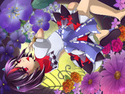 【正邪】第12回東方Project人気投票【おめでとう！】