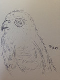 鷲だかなんか。