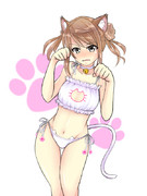 ねこランジェリー満潮