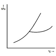 股間に見えたら負け